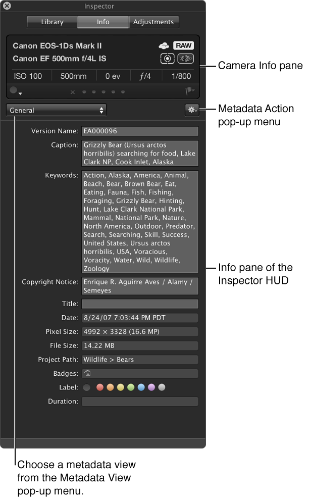 Figure. Controls in the Metadata pane of the Inspector HUD.