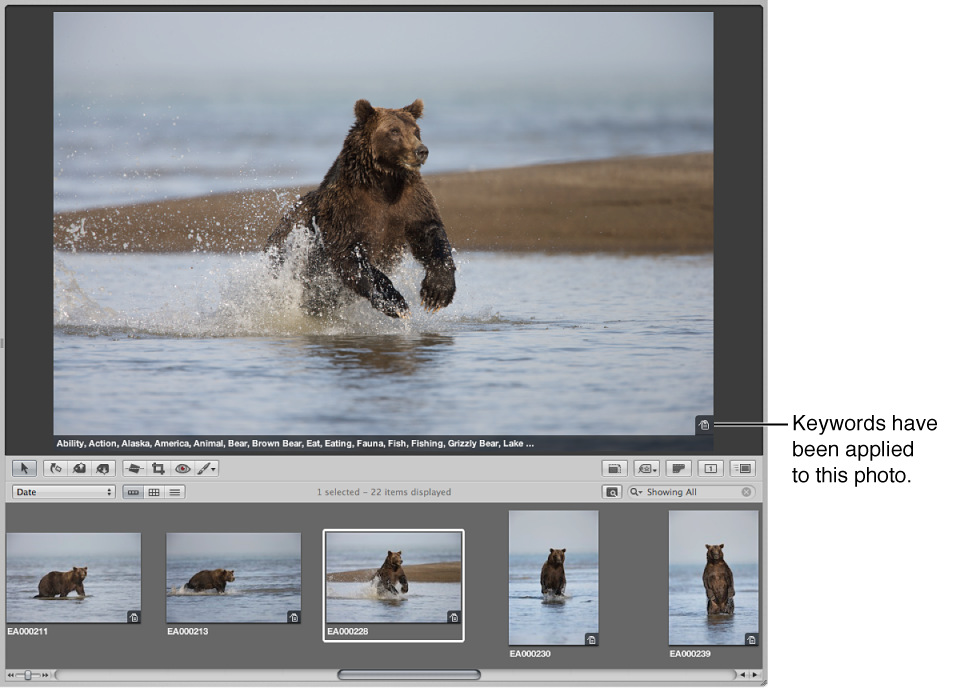 Figure. Viewer displaying an image with a keyword badge.
