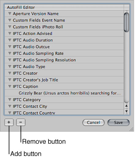 Figure. AutoFill Editor.