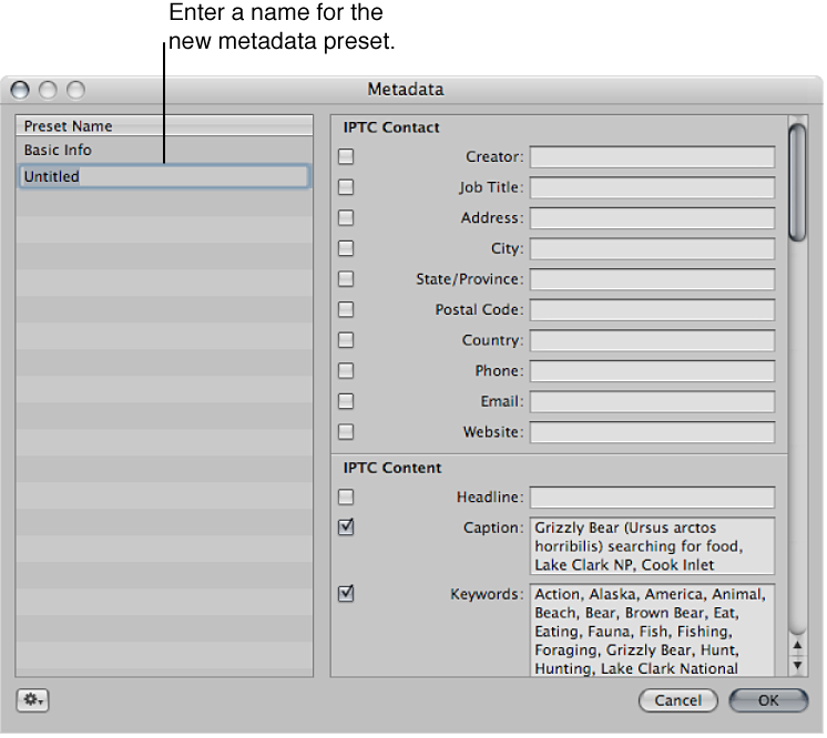 Figure. Metadata dialog showing a new, untitled metadata preset.