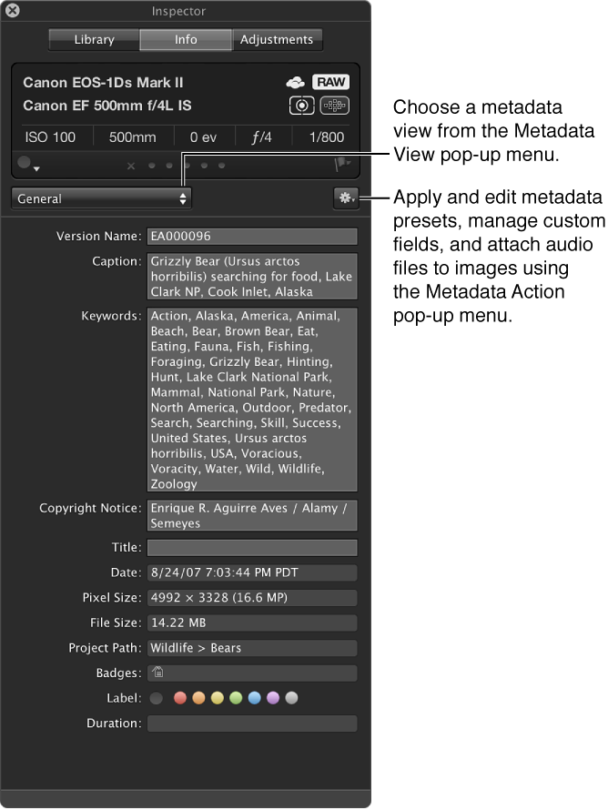 Figure. Metadata pane of the Inspector HUD.