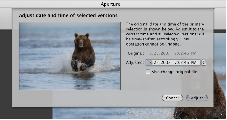Figure. Dialog for adjusting image date and time.
