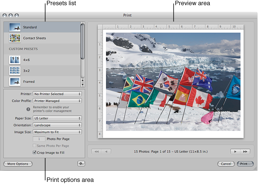 Figure. Controls in the Print dialog.
