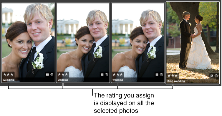 Figure. Group of images with the same rating applied to each image.