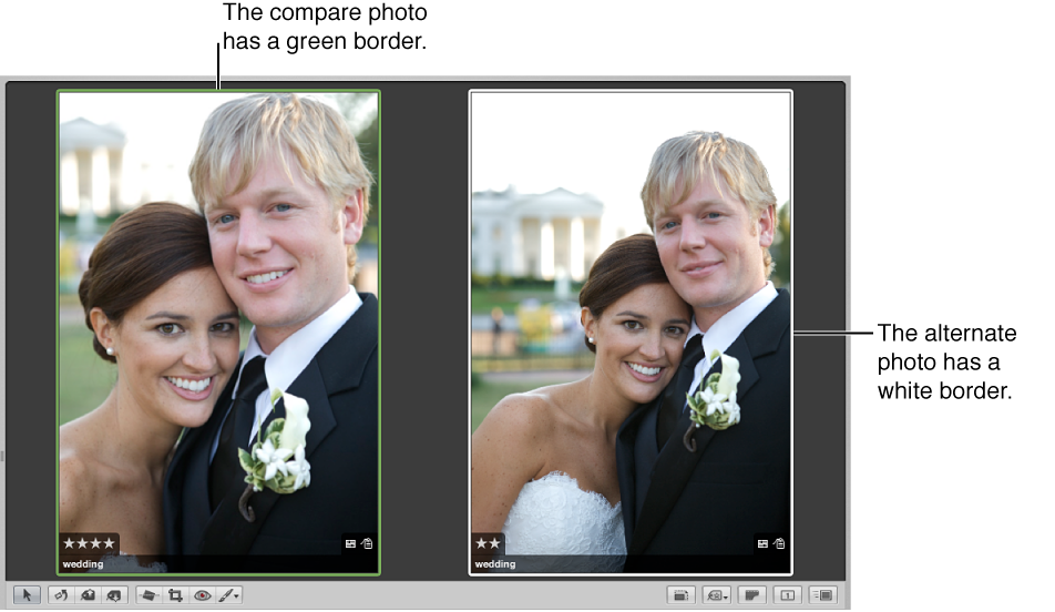 Figure. Viewer showing a compare image on the left with a green border and an alternate image on the right with a white border.