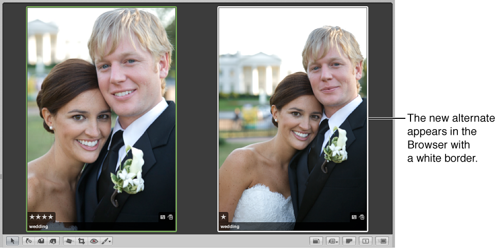 Figure. Viewer showing the compare image on the left and a new alternate on the right.