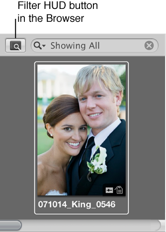 Figure. Filter HUD button in the Browser.