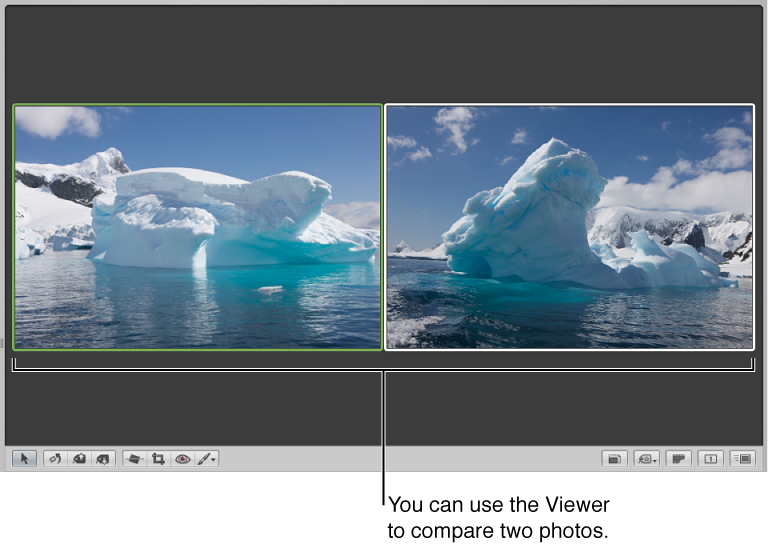 Figure. Viewer set to compare two images.