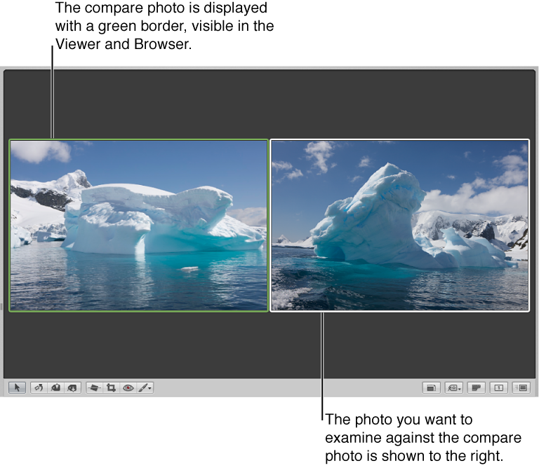 Figure. Viewer set to compare images, with the compare image outlined in green and the other image outlined in white.