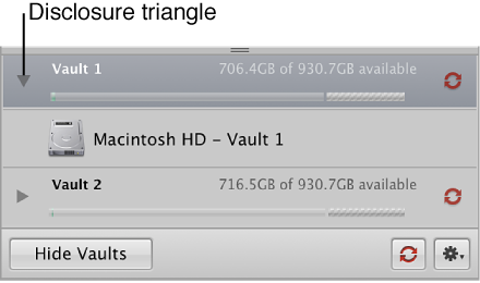 Figure. Vault pane showing the vault disclosure triangles open to display the hard disk assigned to each vault.