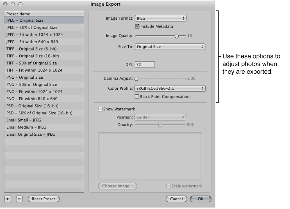 Figure. Image adjustment options in the Import Export dialog.