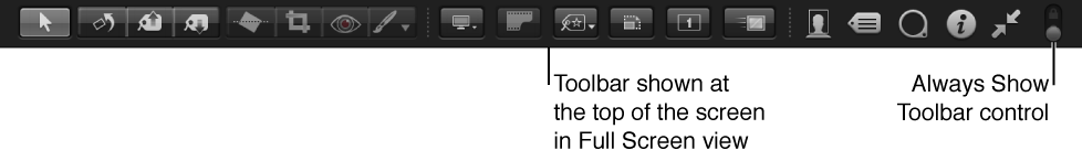 Figure. Tools in the Full Screen view toolbar.
