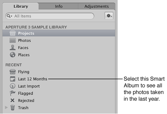 Figure. Library inspector showing Smart Albums in the library.
