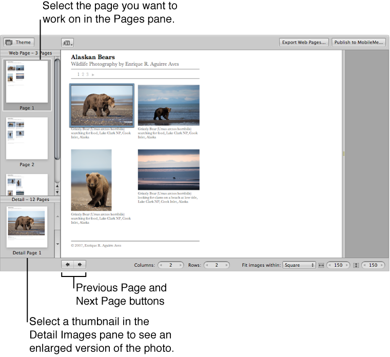 Figure. Web gallery controls in the Webpage Editor.