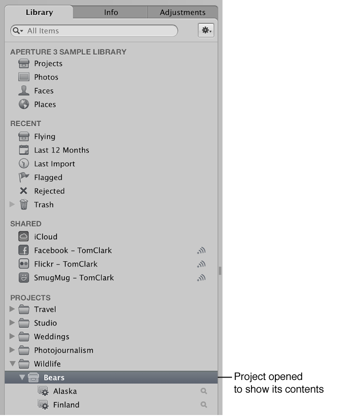 Figure. Library inspector showing the contents of a project.