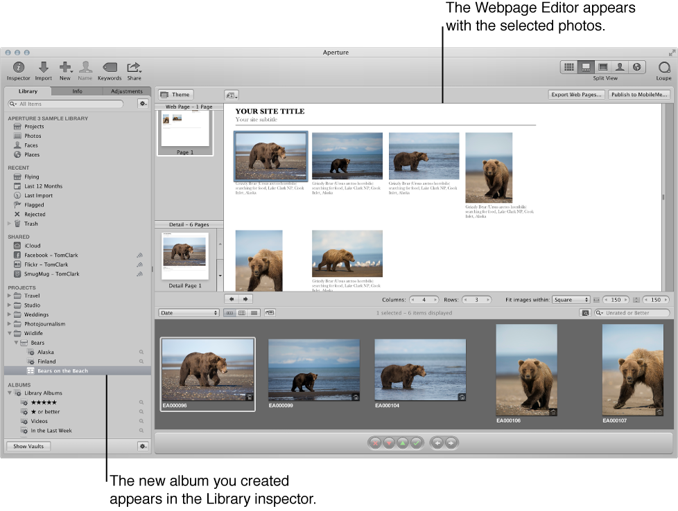 Figure. Aperture main window showing a selected webpage album in the Library inspector and the Webpage Editor displaying the album's images.