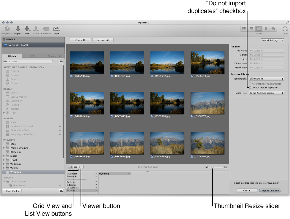 Figure. Import browser.
