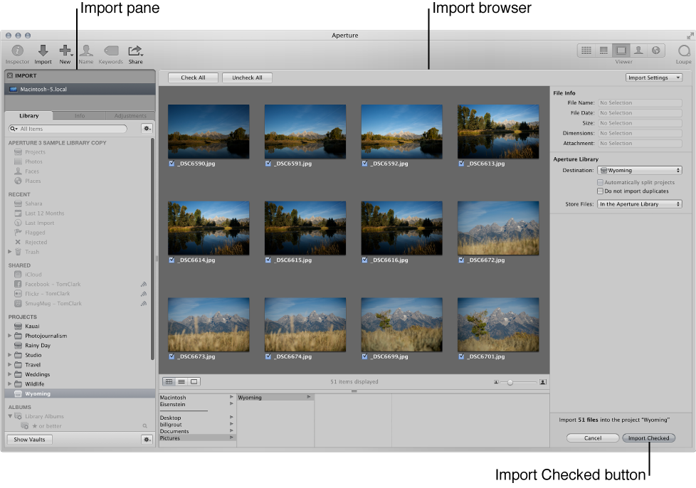 Figure. Aperture main window showing the Import browser.
