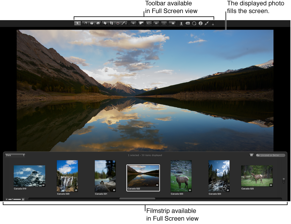 Figure. Full Screen view showing the toolbar, the filmstrip, and a full-screen view of the selected image.