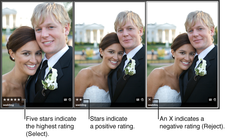 Figure. Group of images showing rating overlays.