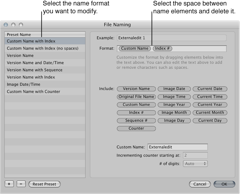 Figure. Name format preset and format element structure in the File Naming dialog.