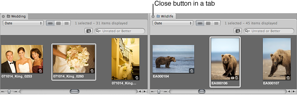 Figure. Browser showing a close button in a project's tab.