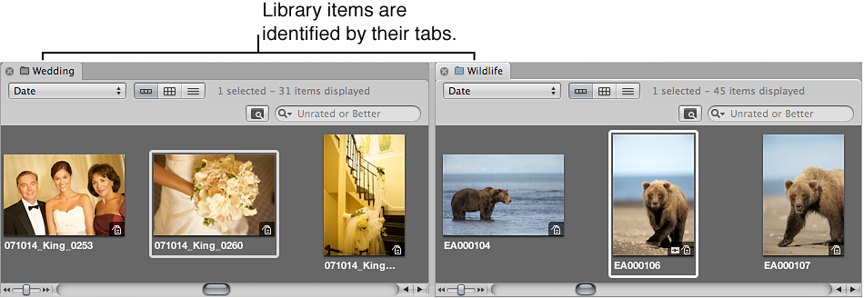 Figure. Browser showing two projects side by side in individual tabbed panes.