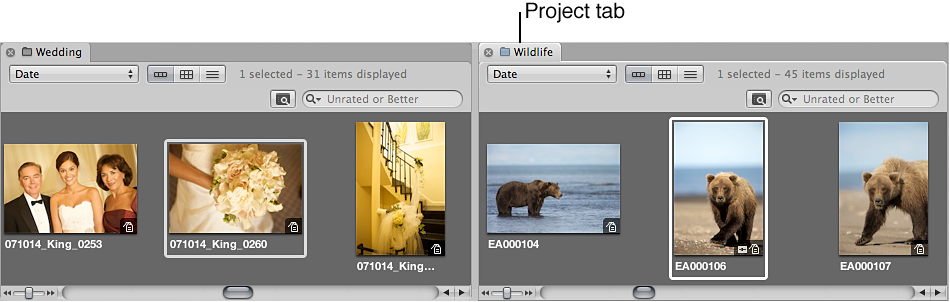 Figure. Browser split into panes containing the images of the two items selected in the Library inspector.