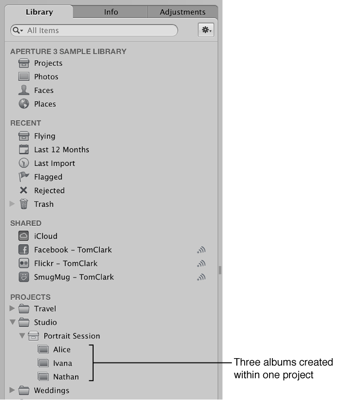 Figure. Library inspector showing albums within a project.