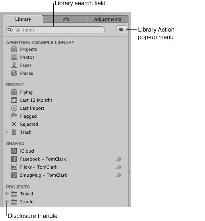 Figure. Controls in the Library inspector.