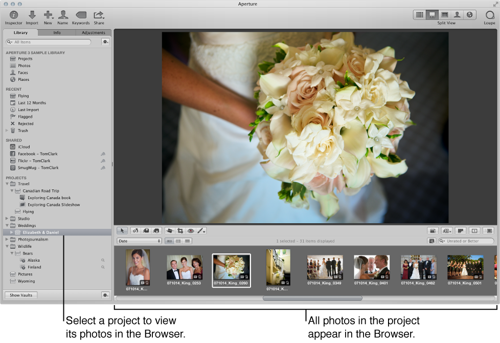 Figure. Aperture main window showing a project selected in the Library inspector and the project's images appearing in the Browser and Viewer.