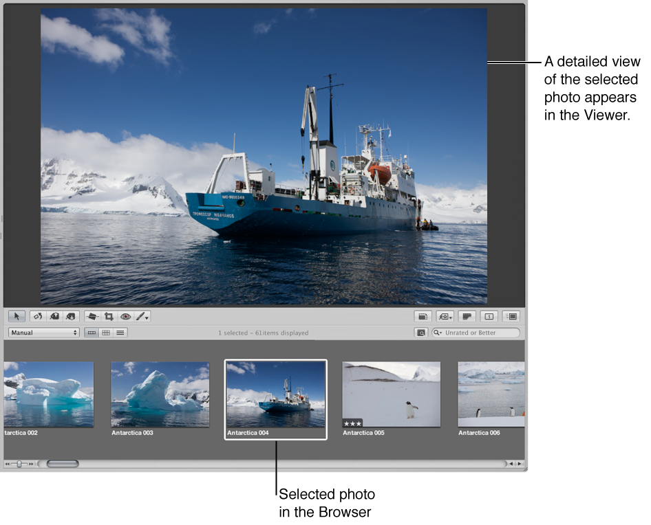 Figure. A detailed view of the Viewer showin selected photos.