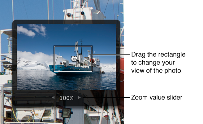 Figure. Detail of an image showing a gray box with a red rectangle inside used for panning within the image and a value slider used for changing the magnification of the image.
