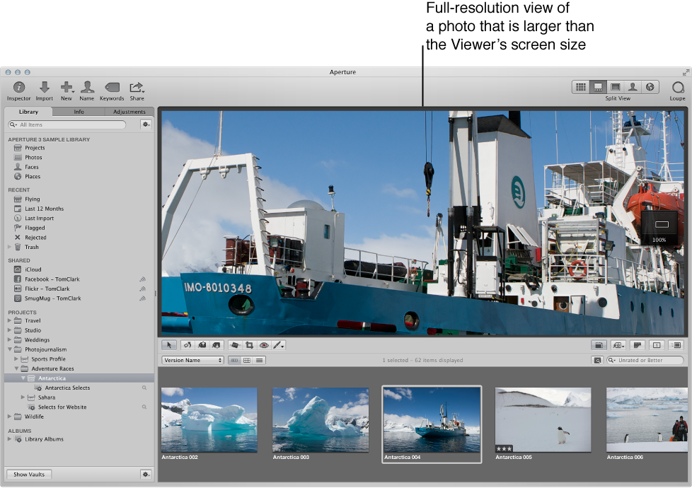 Figure. Aperture main window showing a section of a full-resolution image displayed in the Viewer.