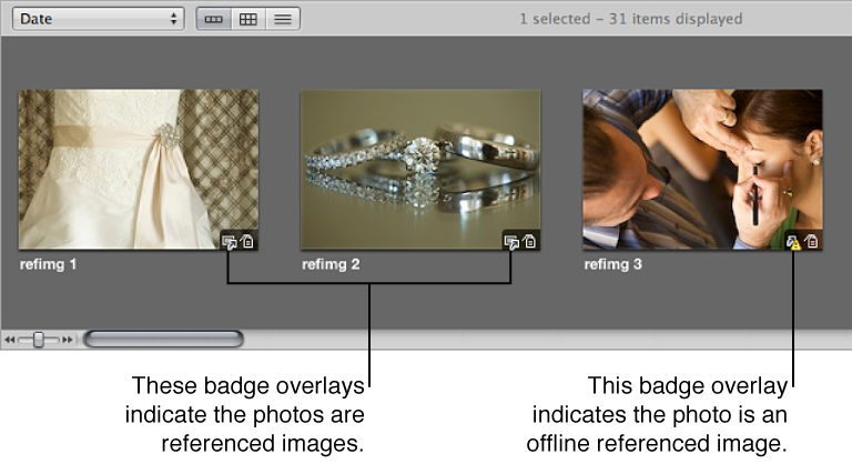Figure. Images in the Browser displaying badge overlays for online and offline referenced images.