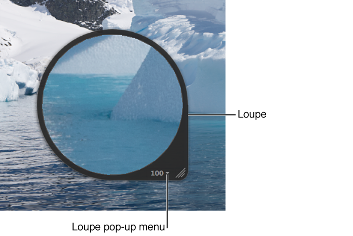 Figure. Centered Loupe magnifying a portion of an image in the Viewer.