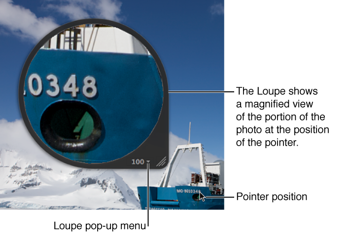 Figure. Centered Loupe magnifying the portion of the image where the pointer is positioned in the Viewer.