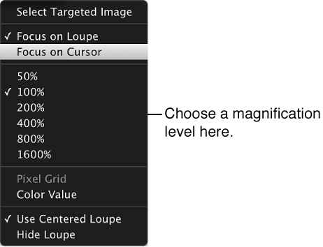 Figure. Loupe pop-up menu showing magnification options.
