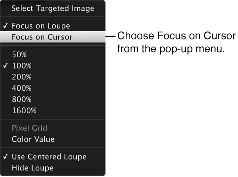 Figure. Loupe pop-up menu showing the Focus on Cursor command.