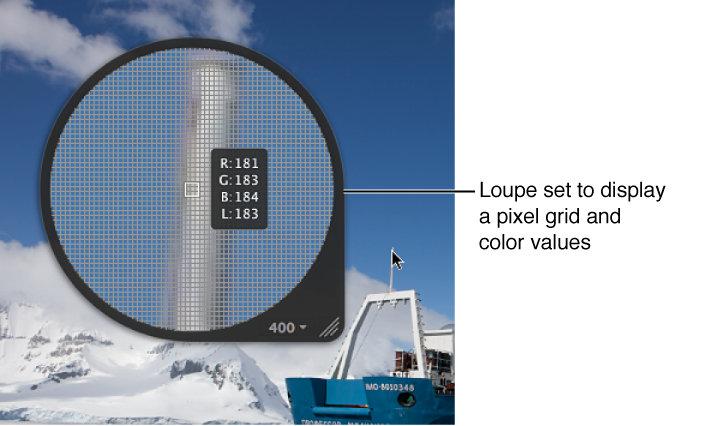 Figure. Centered Loupe set to display a pixel grid and color values.