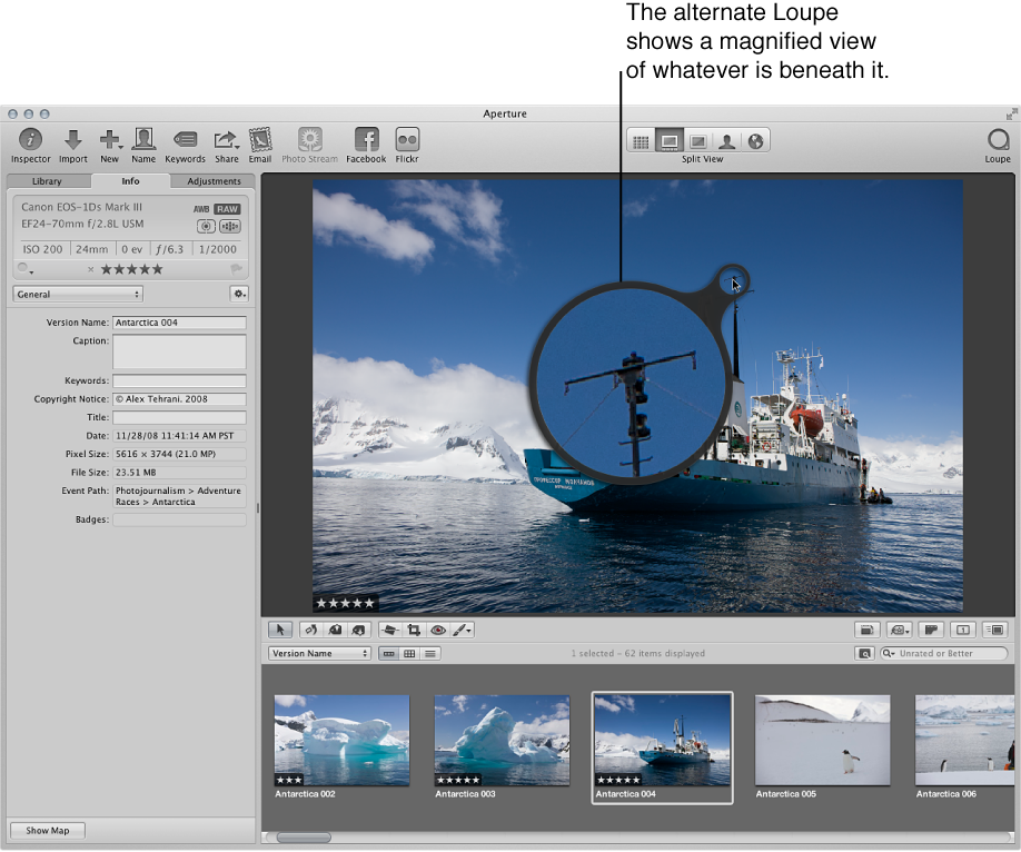 Figure. Aperture main window showing the alternate Loupe positioned over an image in the Viewer and displaying a magnified view of a portion of the image.