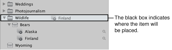 Figure. Dragging an album into a folder in the Library inspector.
