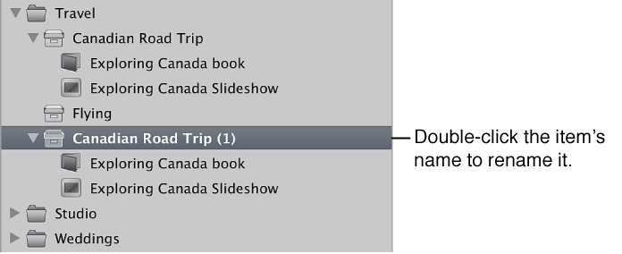 Figure. Duplicated project in the Library inspector.