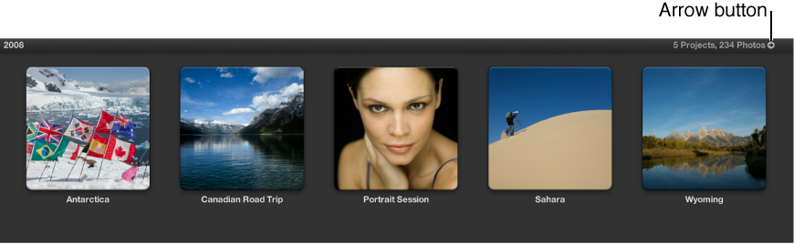 Figure. Arrow button in the row header in Projects view.