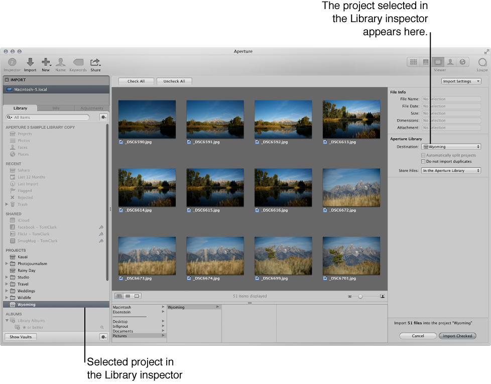 Figure. Project shown selected in the Library inspector to import images.