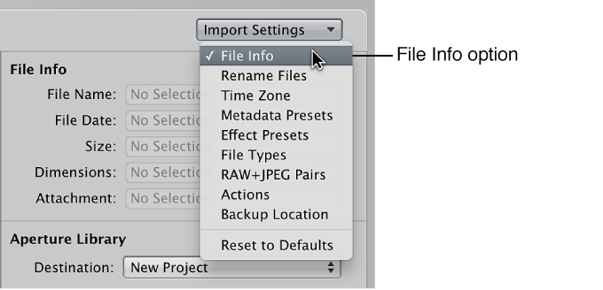 Figure. Import Settings pop-up menu in the Import browser.