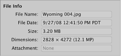 Figure. File Info in the Import browser.