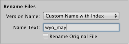 Figure. Rename Files controls in the Import browser.