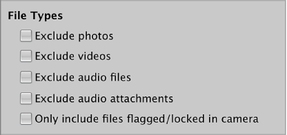 Figure. Filter Files controls in the Import browser.