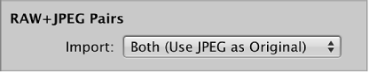 Figure. RAW + JPEG Pairs controls in the Import browser.
